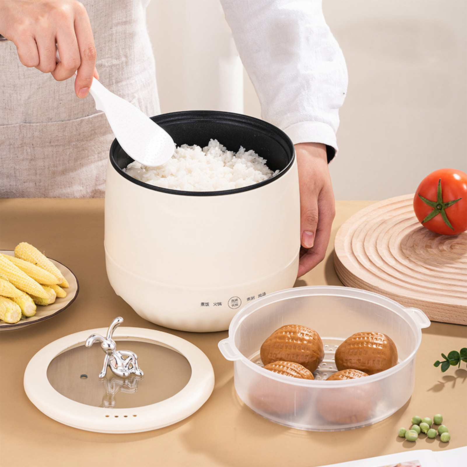 Intelligenter elektrischer Min – Meal Prep With Rice Bewertung und Preis