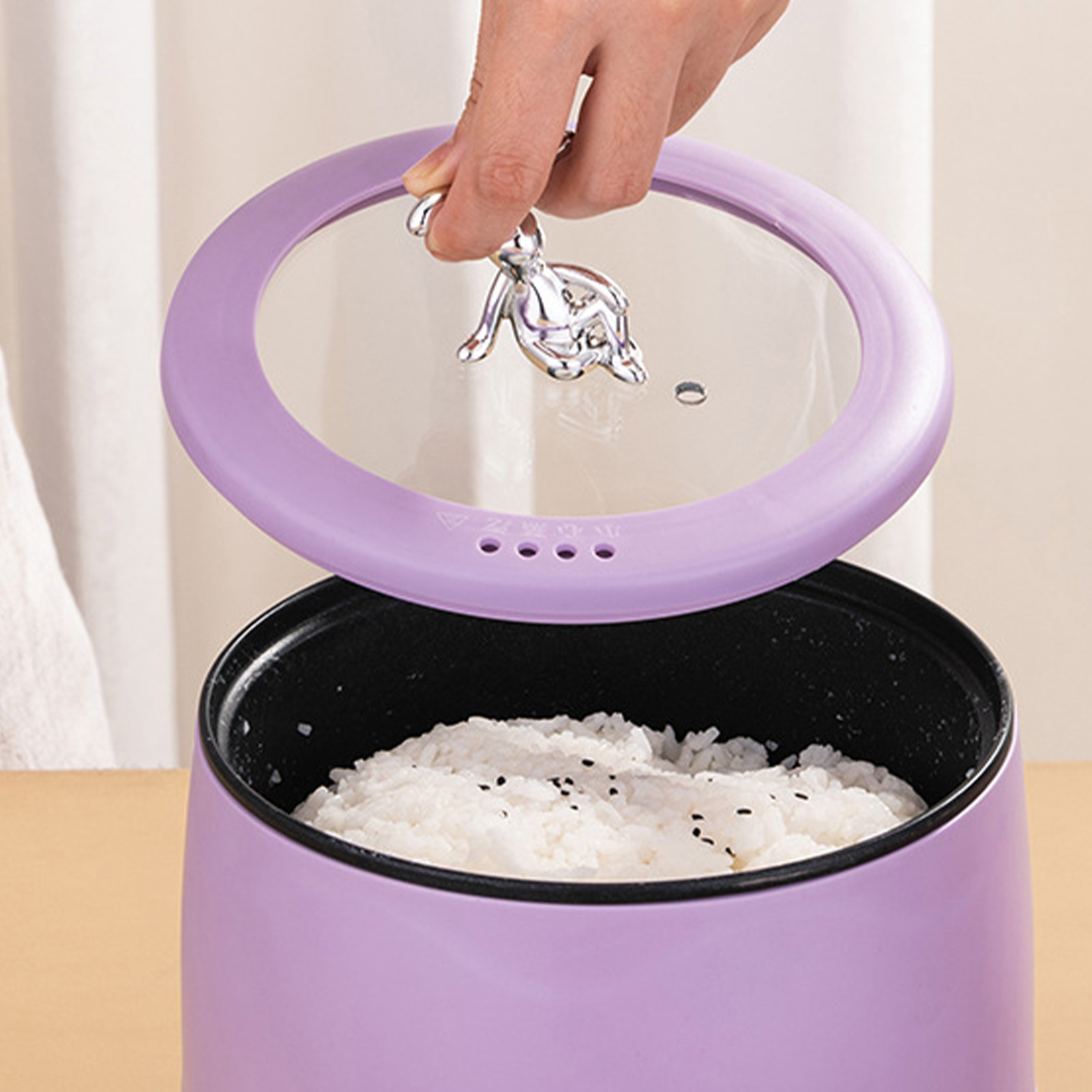 Intelligenter elektrischer Min – Meal Prep With Rice Bewertung und Preis